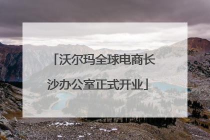 沃尔玛全球电商长沙办公室正式开业