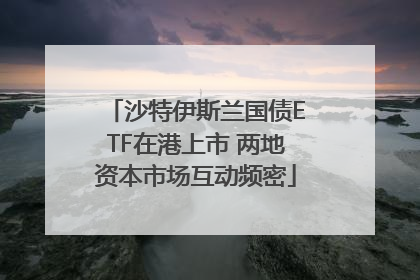 沙特伊斯兰国债ETF在港上市 两地资本市场互动频密