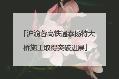 沪渝蓉高铁通泰扬特大桥施工取得突破进展