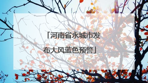 河南省永城市发布大风蓝色预警