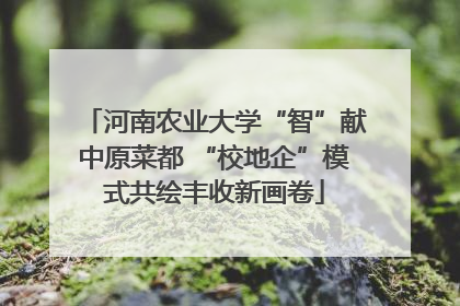 河南农业大学“智”献中原菜都 “校地企”模式共绘丰收新画卷