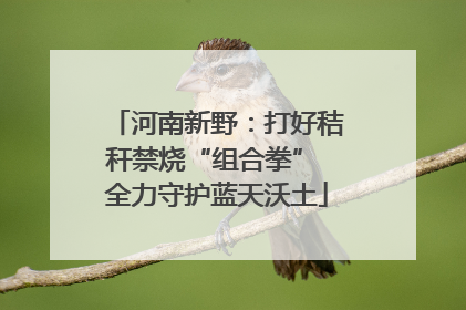 河南新野：打好秸秆禁烧“组合拳” 全力守护蓝天沃土