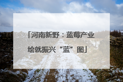 河南新野：蓝莓产业绘就振兴“蓝”图