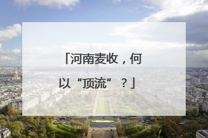 河南麦收，何以“顶流”？