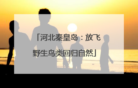 河北秦皇岛：放飞野生鸟类回归自然