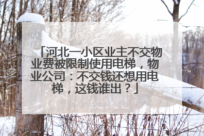 河北一小区业主不交物业费被限制使用电梯，物业公司：不交钱还想用电梯，这钱谁出？
