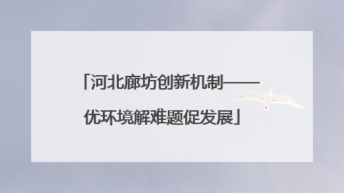 河北廊坊创新机制——优环境解难题促发展
