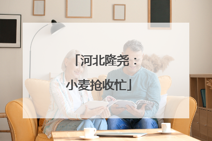 河北隆尧：小麦抢收忙