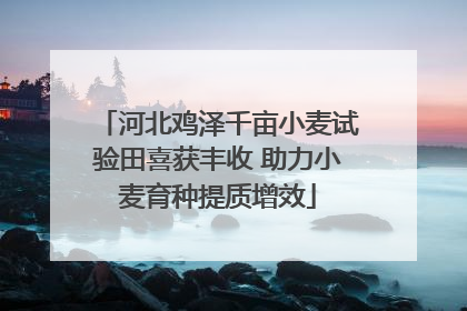 河北鸡泽千亩小麦试验田喜获丰收 助力小麦育种提质增效