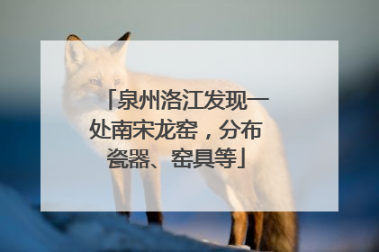 泉州洛江发现一处南宋龙窑，分布瓷器、窑具等