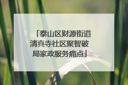 泰山区财源街道清真寺社区聚智破局家政服务痛点