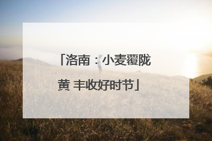 洛南：小麦覆陇黄 丰收好时节