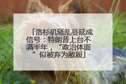 洛杉矶骚乱蔓延成信号：特朗普上台不满半年，“政治体面”似被弃为敝履