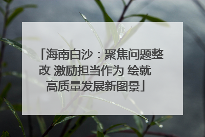 海南白沙：聚焦问题整改 激励担当作为 绘就高质量发展新图景