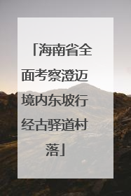 海南省全面考察澄迈境内东坡行经古驿道村落