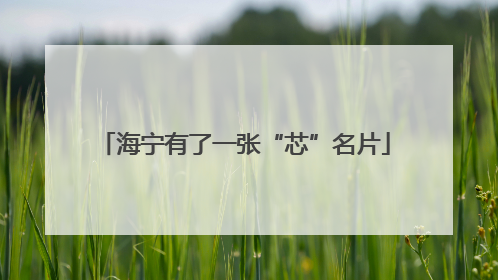 海宁有了一张“芯”名片