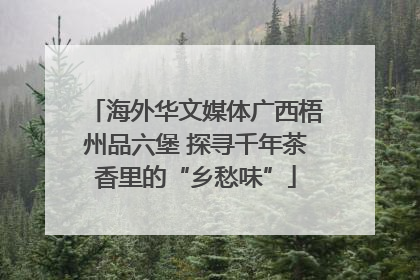 海外华文媒体广西梧州品六堡 探寻千年茶香里的“乡愁味”