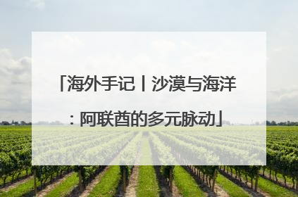 海外手记丨沙漠与海洋：阿联酋的多元脉动