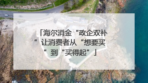 海尔消金“政企双补”让消费者从“想要买”到“买得起”