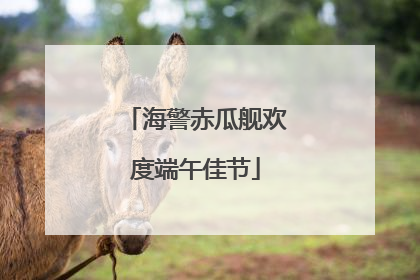 海警赤瓜舰欢度端午佳节