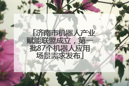 济南市机器人产业赋能联盟成立，第一批87个机器人应用场景需求发布