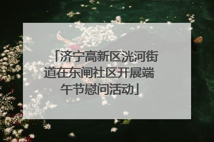 济宁高新区洸河街道在东闸社区开展端午节慰问活动