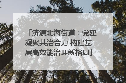 济源北海街道：党建凝聚共治合力 构建基层高效能治理新格局