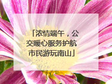 浓情端午，公交暖心服务护航市民游玩南山