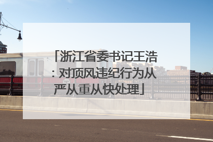 浙江省委书记王浩：对顶风违纪行为从严从重从快处理