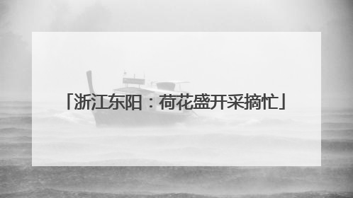 浙江东阳：荷花盛开采摘忙