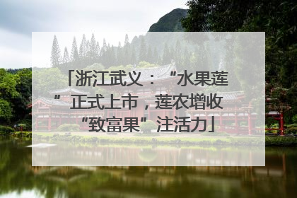 浙江武义：“水果莲”正式上市，莲农增收“致富果”注活力