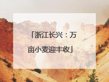 浙江长兴：万亩小麦迎丰收
