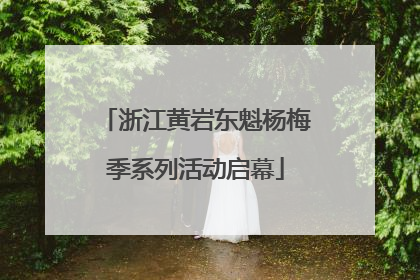 浙江黄岩东魁杨梅季系列活动启幕