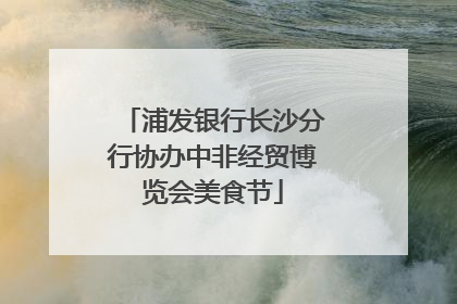 浦发银行长沙分行协办中非经贸博览会美食节