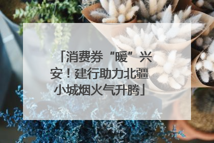 消费券“暖”兴安！建行助力北疆小城烟火气升腾