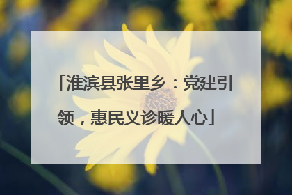 淮滨县张里乡：党建引领，惠民义诊暖人心