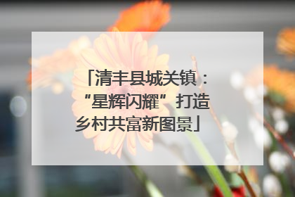 清丰县城关镇：“星辉闪耀”打造乡村共富新图景