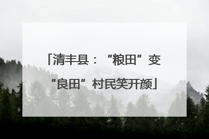 清丰县：“粮田”变“良田”村民笑开颜