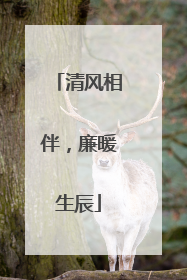 清风相伴，廉暖生辰