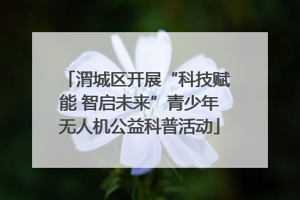 渭城区开展“科技赋能 智启未来”青少年无人机公益科普活动