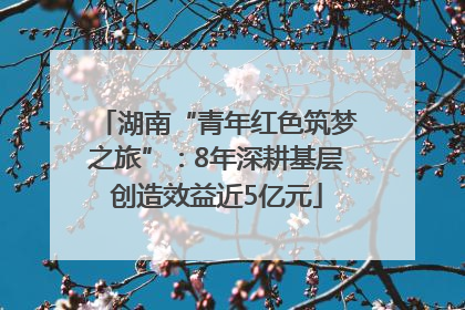 湖南“青年红色筑梦之旅”：8年深耕基层创造效益近5亿元
