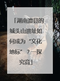 湖南澧县的城头山遗址如何成为“文化地标”？一探究竟
