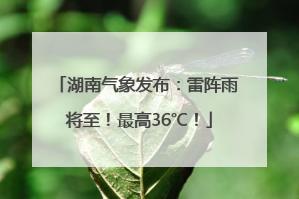 湖南气象发布：雷阵雨将至！最高36℃！