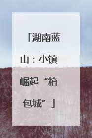 湖南蓝山：小镇崛起“箱包城”