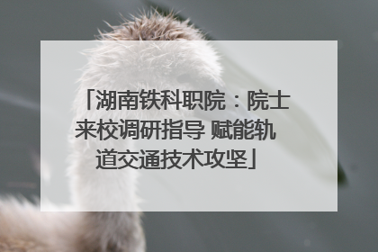 湖南铁科职院：院士来校调研指导 赋能轨道交通技术攻坚
