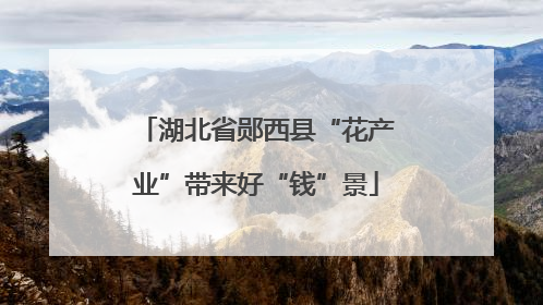 湖北省郧西县“花产业”带来好“钱”景