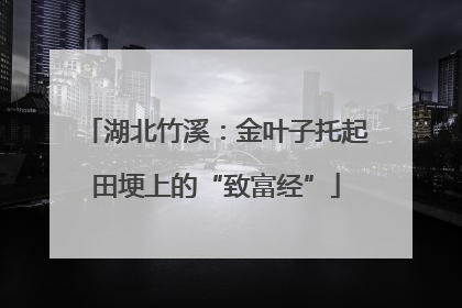 湖北竹溪：金叶子托起田埂上的“致富经”