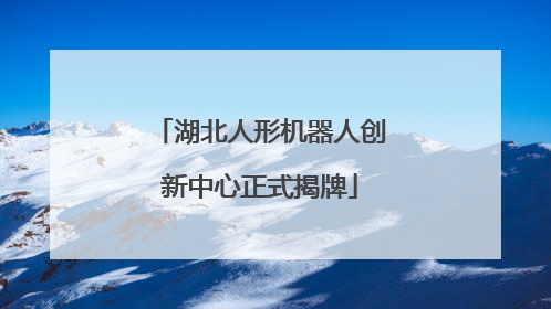 湖北人形机器人创新中心正式揭牌