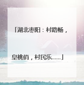 湖北枣阳：村路畅，皇桃俏，村民乐……