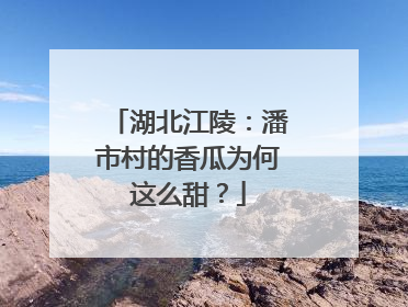 湖北江陵：潘市村的香瓜为何这么甜？